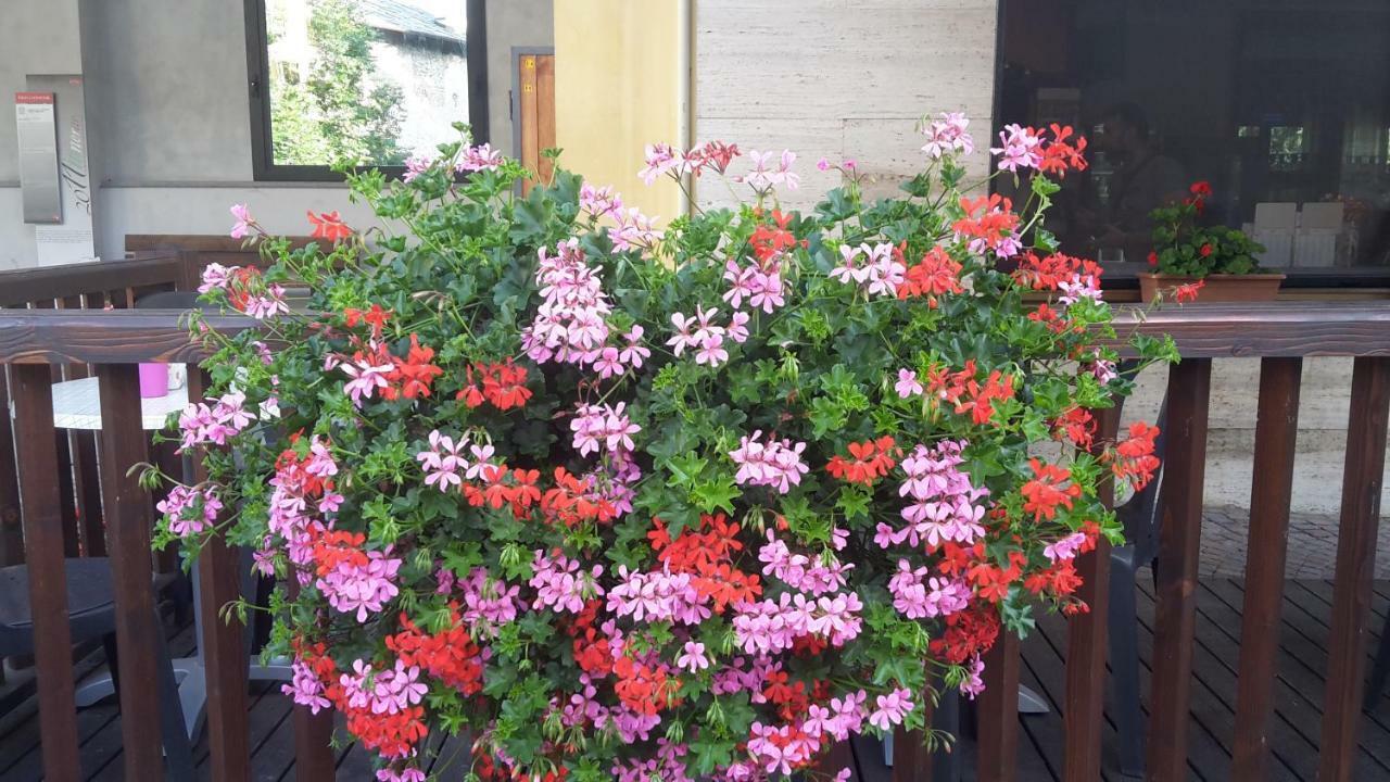 Albergo Ristorante Centro Vico Canavese Ngoại thất bức ảnh